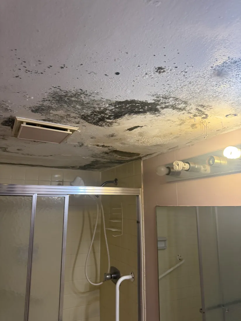 Bathroom ceiling with widespread mold growth around the exhaust fan before remediation