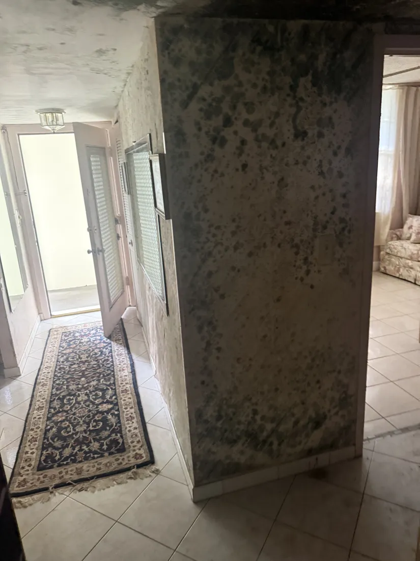 Heavy mold growth across a hallway wall and ceiling in a South Florida home before remediation