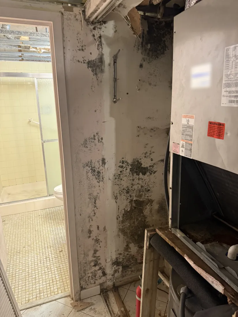 Mold on the wall beside an air handler, caused by long-term moisture in the AC closet