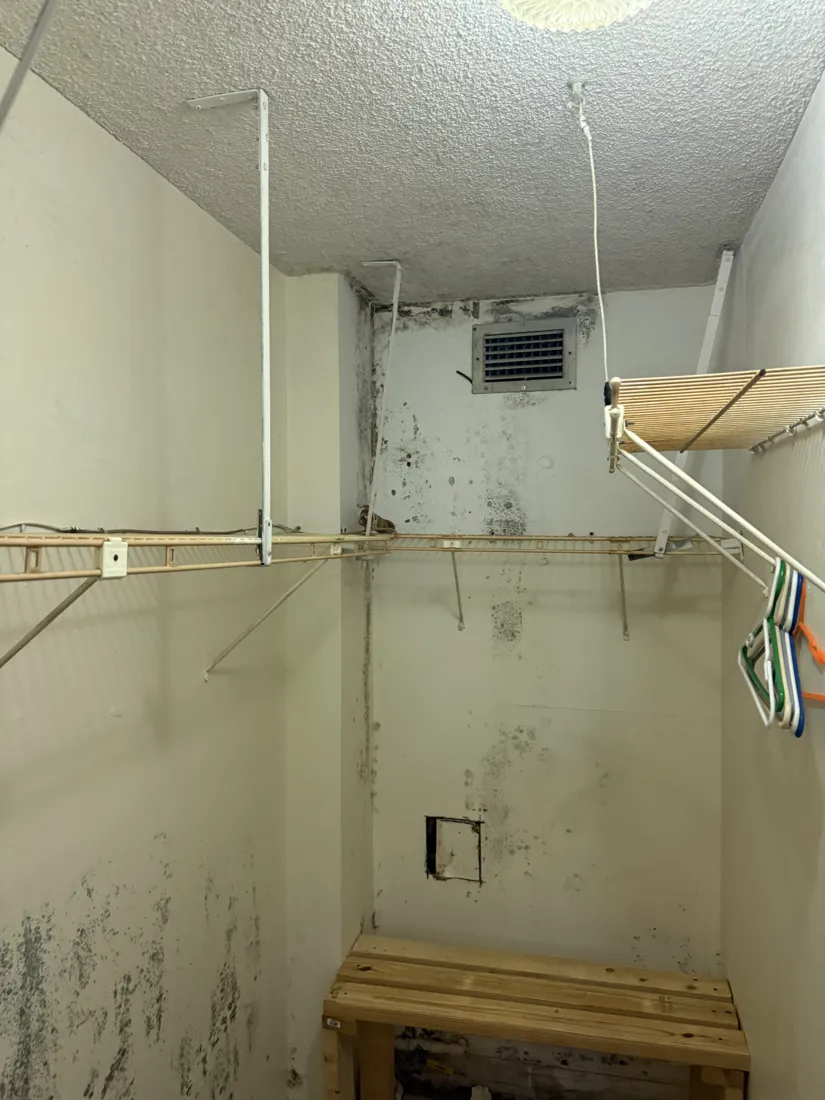 Mold growth around a closet air vent and down the walls