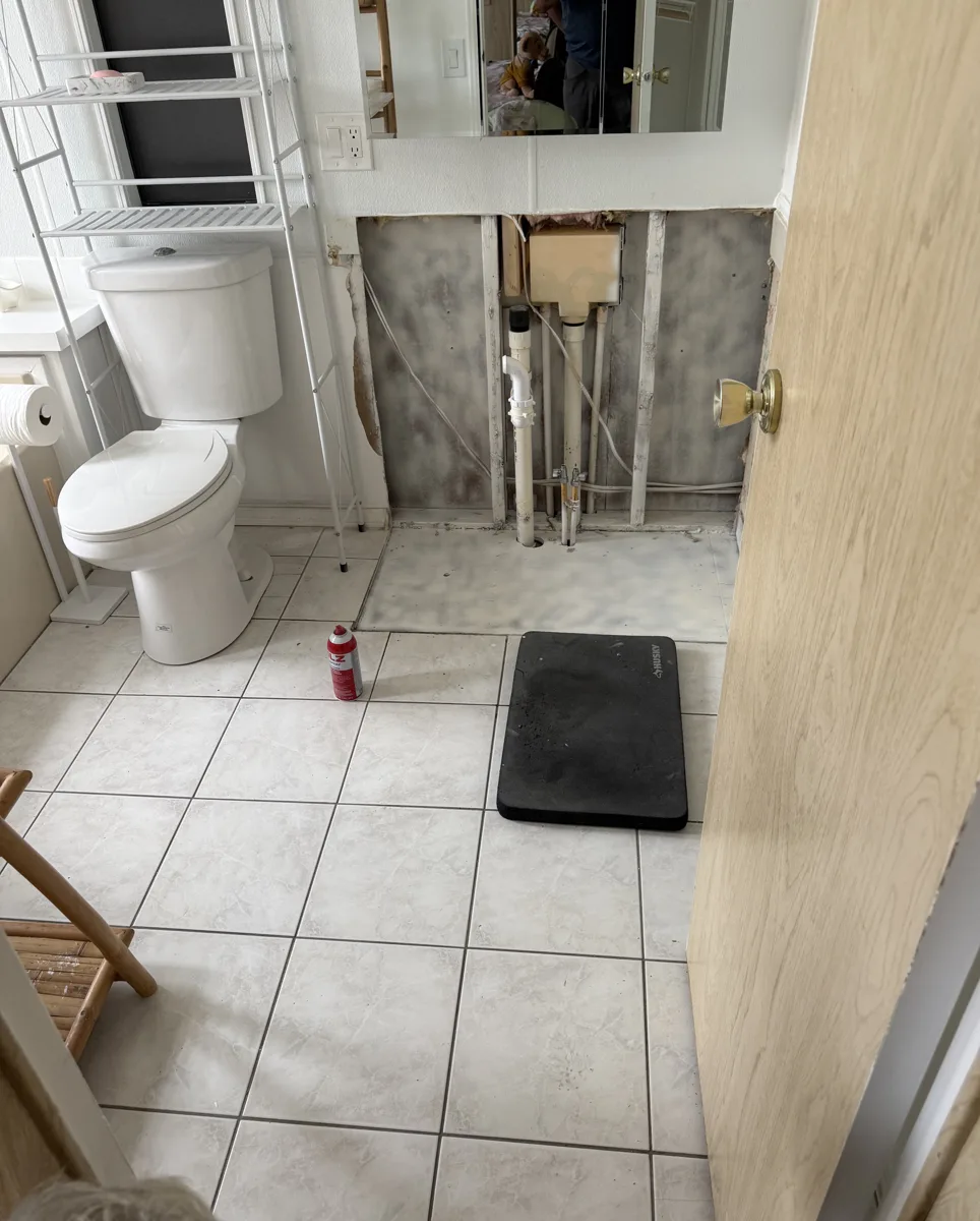 Cleaned and treated wall cavity and subfloor after mold remediation, ready for rebuild