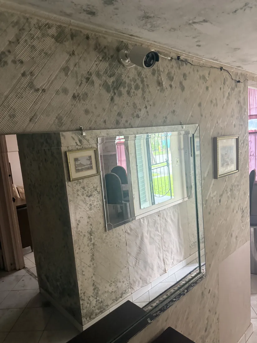 Mold spreading across textured wallcovering and ceiling in a living area before remediation